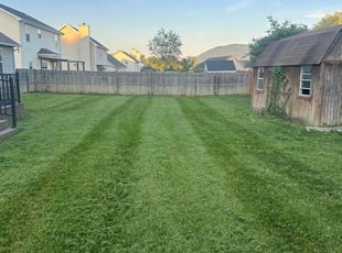 Sterling K.'s Grass Cutting service result