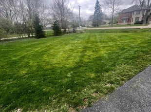 Norma C.'s Lawn Care service result