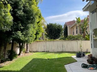 Bush Trimming by Nicholas Poulsen for Rich K. in San Diego, CA