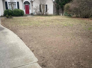 Leaf Removal by Juliocesar Alfaro for Marta T. in Charlotte, NC