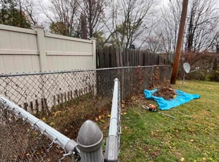 Weeding by Vincent Daniele for Timothy D. in Pittsburgh, PA