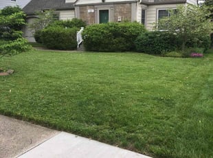 Diane W.'s Yard Cutting service result