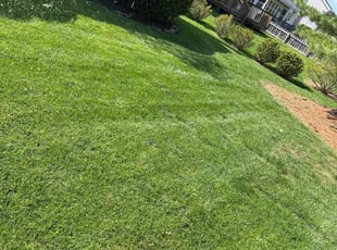 Cory W.'s Lawn Care service result