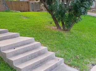 Paul N.'s Yard Cutting service result