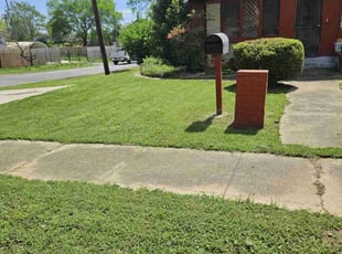 Stephanie B.'s Yard Cutting service result