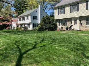 Michele M.'s Grass Cutting service result