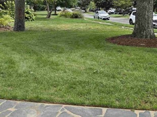 Glenn S.'s Grass Cutting service result