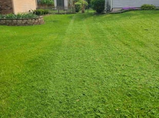Tracy G.'s Lawn Service service result
