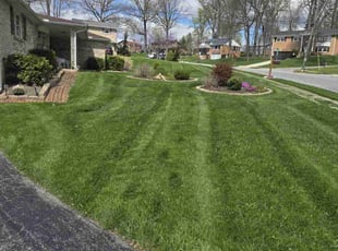 Seth B.'s Lawn Mowing service result