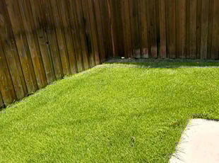 Tiffany S.'s Lawn Mowing service result