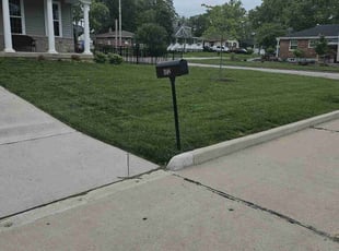 Janelle B.'s Grass Cutting service result