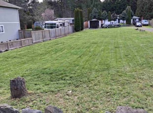 Josh G.'s Yard Cutting service result
