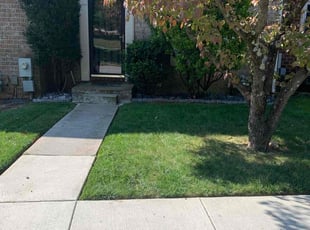 Billy j.'s Lawn Mowing service result