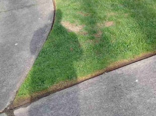 Tim M.'s Lawn Service service result