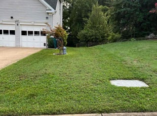 KENNETH W.'s Lawn Mowing service result