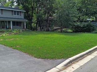 Kyle L.'s Yard Cutting service result