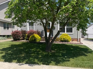 Tee P.'s Lawn Mowing service result