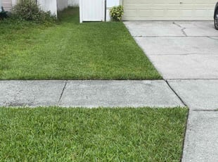 Vivian C.'s Lawn Service service result