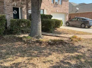 Bush Trimming by Quentin Morgan for Kara P. in Denton, TX