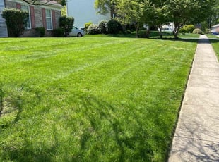 Laura L.'s Lawn Mowing Service service result