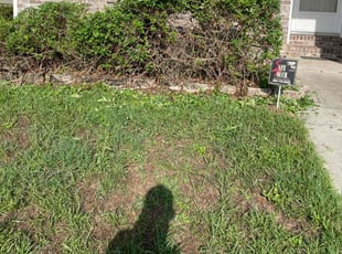Bush Trimming by Herschell Bradley for Shane R. in Tallahassee, FL