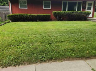 Bush Trimming by Howard Breunig for Zakiyyah S. in Madison, WI