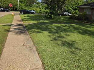 Tameka L.'s Grass Cutting service result