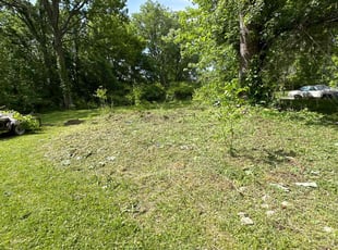 Cleanups by Leonard Smithers for James R. in Columbus, OH