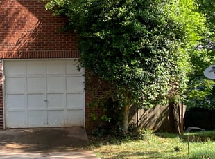 Bush Trimming by Delbert Rosa for Carl H. in Stone Mountain, GA