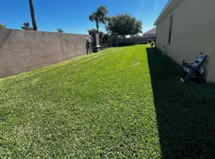 Dana P.'s Lawn Mowing service result