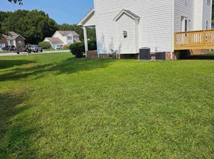 Morgan H.'s Lawn Service service result