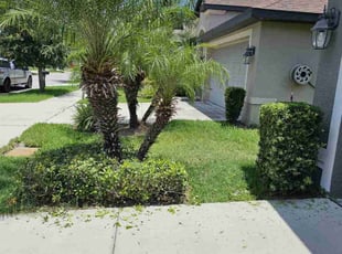 Bush Trimming by Sebastian Damaso for Carolyn H. in Riverview, FL