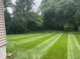 Aaron M.'s Lawn Mowing Service service result