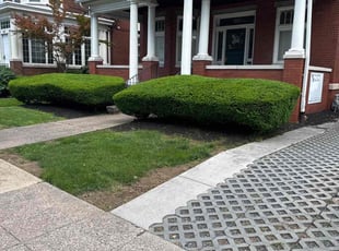 Bush Trimming by Rachel Pensyl for William M. in Harrisburg, PA
