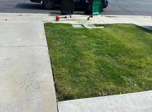 Amanda L.'s Lawn Mowing service result