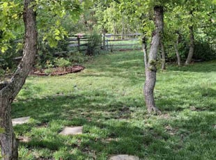 Leaf Removal by Franyelis Irimar Marquez Martinez for Stacee E. in Castle Rock, CO