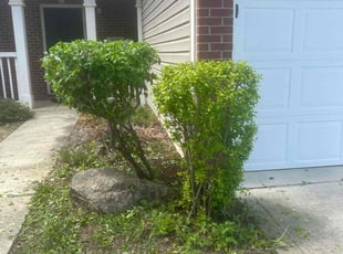 Bush Trimming by Cindy Betancourth for Aaron B. in Avon, IN