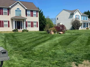 Sean N.'s Lawn Care service result