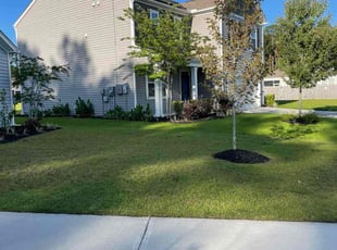 Susan H.'s Lawn Care service result