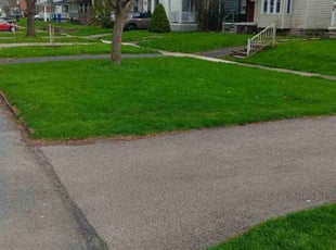 Henry H.'s Yard Cutting service result