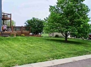 Bryce R.'s Yard Cutting service result