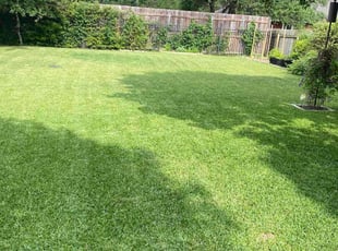 Kelly V.'s Lawn Mowing service result