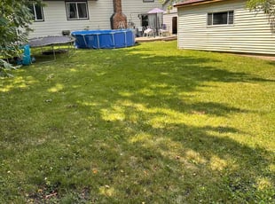 Canvyis H.'s Lawn Care service result