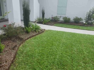 Timothy S.'s Yard Cutting service result