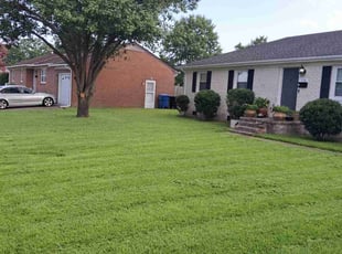 Jeanette H.'s Lawn Mowing service result