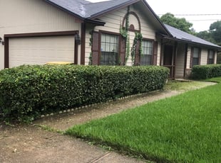 Bush Trimming by Wayne Atkinson for Jonathan D. in Jacksonville, FL