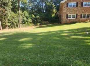 Ron E.'s Lawn Mowing service result