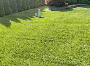Mae S.'s Lawn Care service result