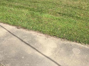 Anna B.'s Lawn Care service result