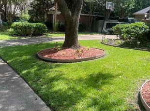 Tynesha C.'s Lawn Mowing service result